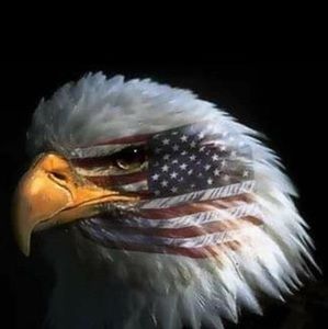 Meet your Posher, Alan